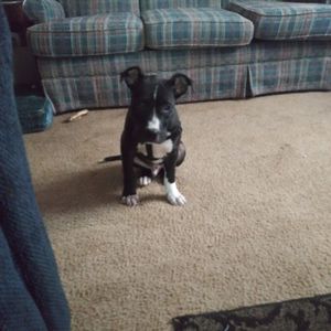 Meet your Posher, Becky